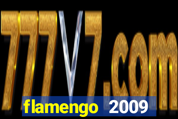 flamengo 2009 campeonato brasileiro