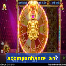 acompanhante an? s?o paulo