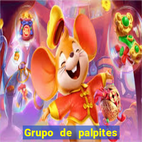 Grupo de palpites de futebol gratis