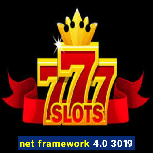 net framework 4.0 3019