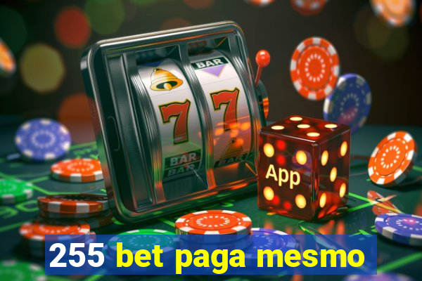 255 bet paga mesmo