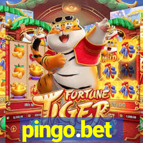 pingo.bet