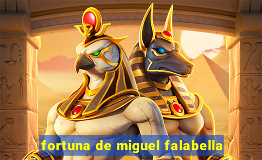 fortuna de miguel falabella