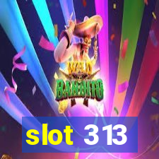 slot 313