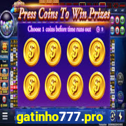 gatinho777.pro